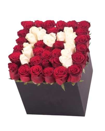 Kare Kutuda Baş Harf Tasarım