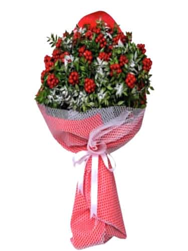 Kucak Dolusu Kokina Buketi