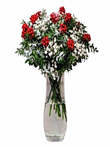 Silindir Vazoda Kokinalar