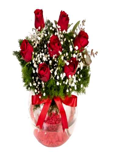 Fanusta 7 Kırmızı Gül