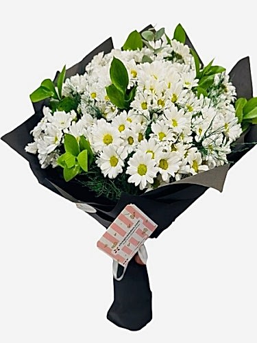 Kucak Dolusu Papatya