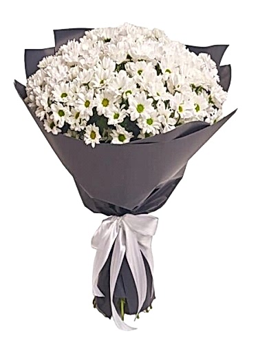 Kucak Dolusu Papatya Buketi